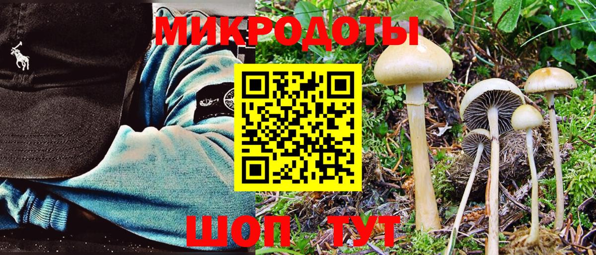 Псилоцибиновые грибы GOLDEN TEACHER  Псилоцибиновые грибы Psilocybe  Сыктывкар  Вход с VPN 