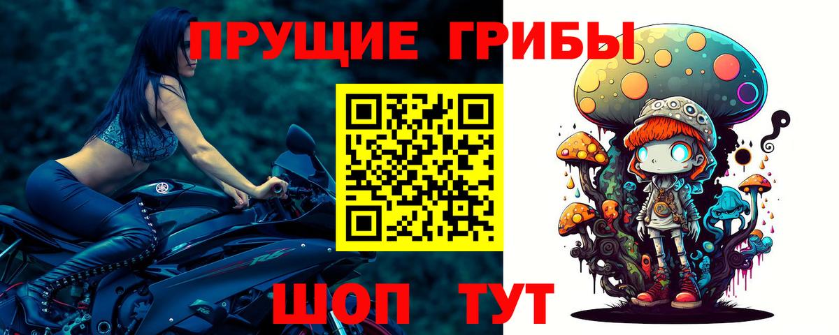 Галлюциногенные грибы Cubensis Сыктывкар